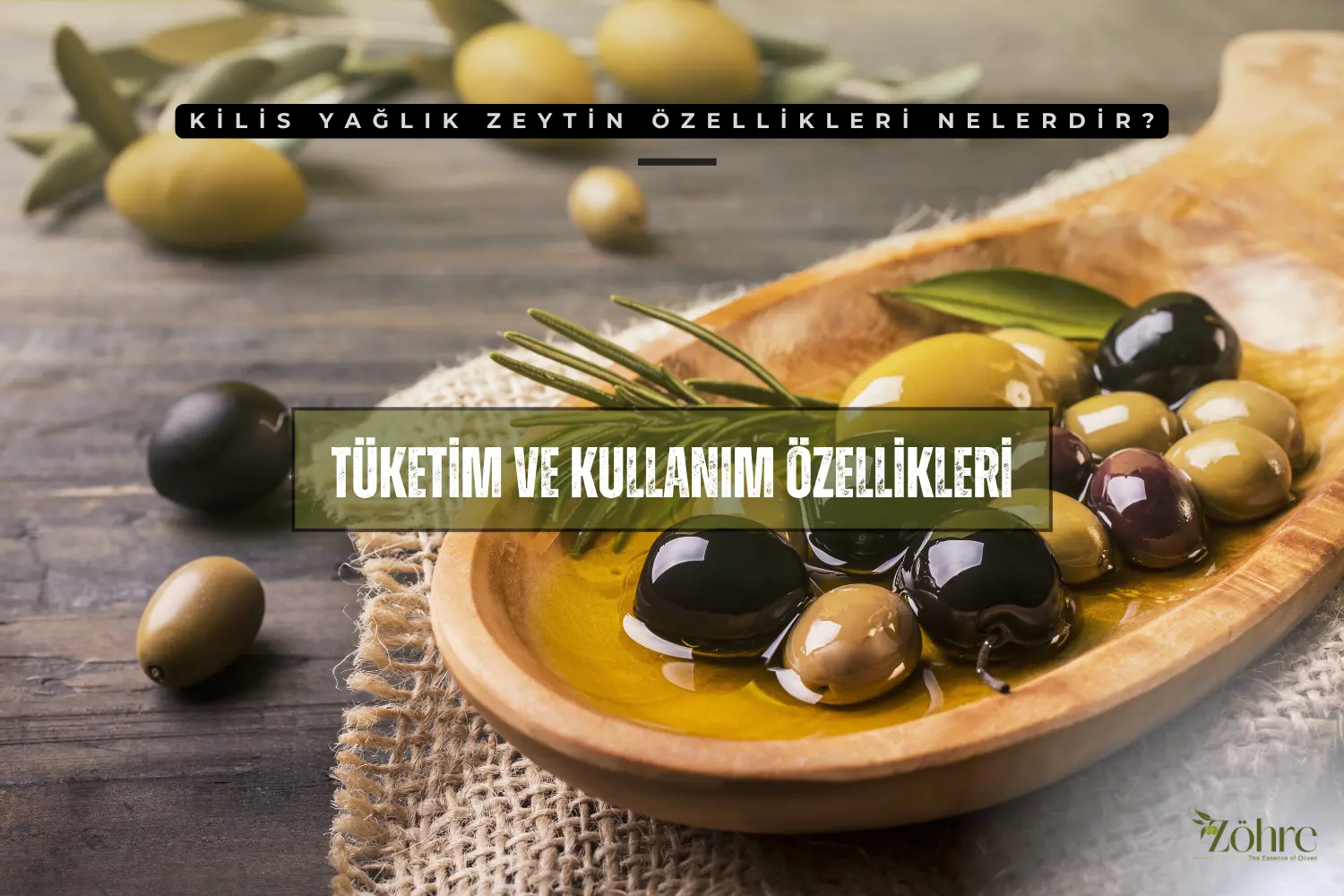 kilis yağlık zeytin özellikleri